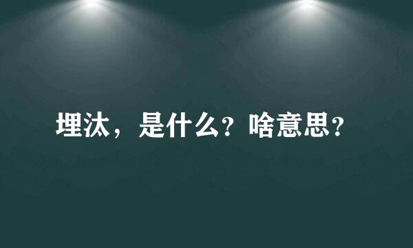 埋汰，是什么？啥意思？