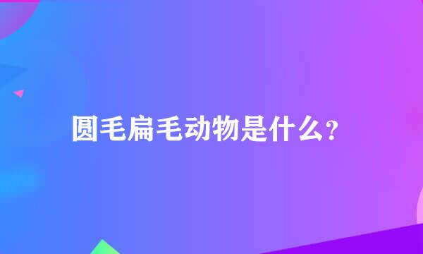 圆毛扁毛动物是什么？