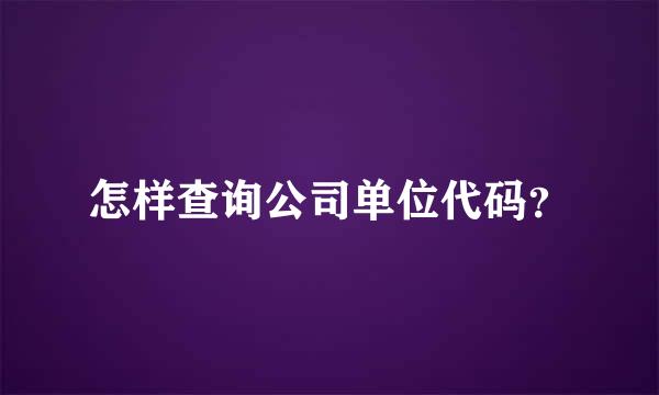 怎样查询公司单位代码？