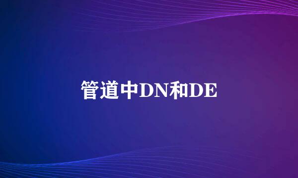 管道中DN和DE