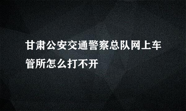 甘肃公安交通警察总队网上车管所怎么打不开