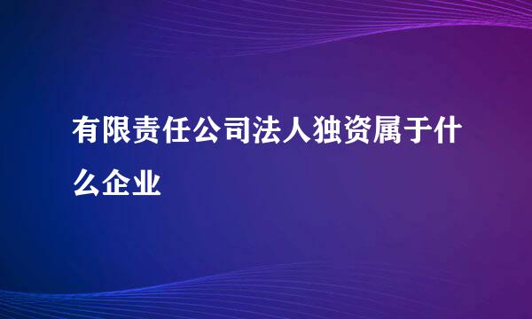 有限责任公司法人独资属于什么企业