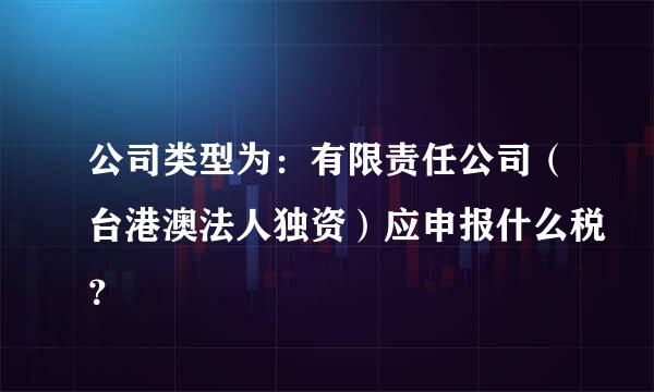 公司类型为：有限责任公司（台港澳法人独资）应申报什么税？