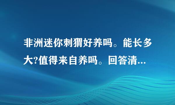 非洲迷你刺猬好养吗。能长多大?值得来自养吗。回答清晰易懂。别复制粘贴