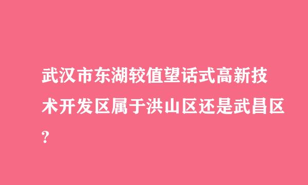 武汉市东湖较值望话式高新技术开发区属于洪山区还是武昌区?