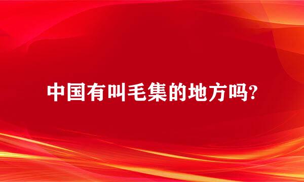 中国有叫毛集的地方吗?