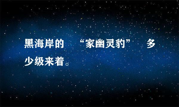 黑海岸的 “家幽灵豹” 多少级来着。