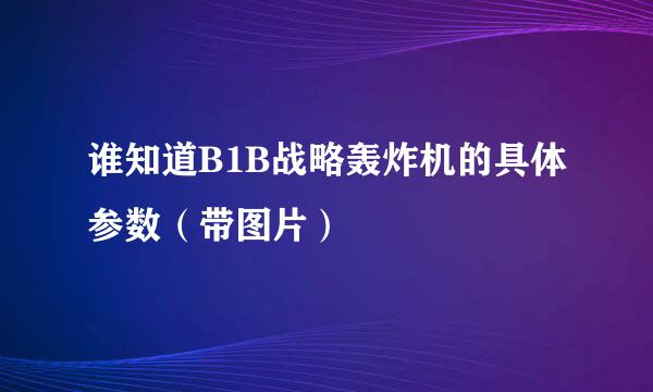 谁知道B1B战略轰炸机的具体参数（带图片）