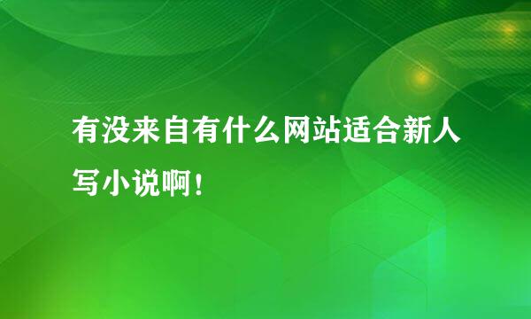 有没来自有什么网站适合新人写小说啊！