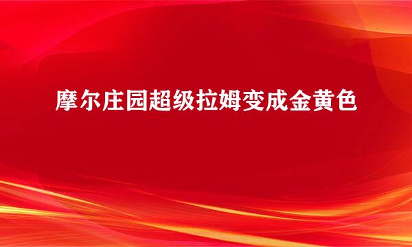 摩尔庄园超级拉姆变成金黄色