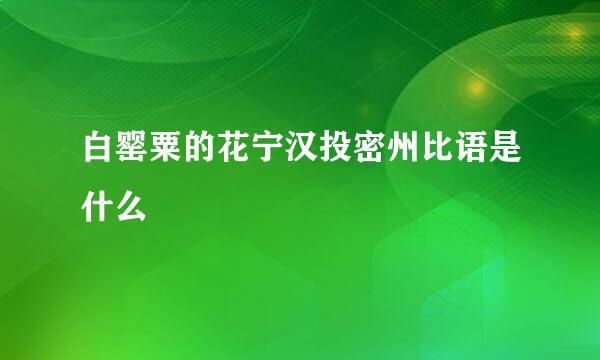 白罂粟的花宁汉投密州比语是什么