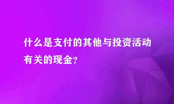 什么是支付的其他与投资活动有关的现金？