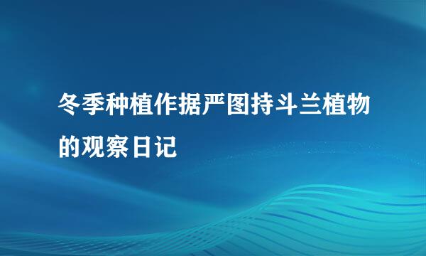 冬季种植作据严图持斗兰植物的观察日记