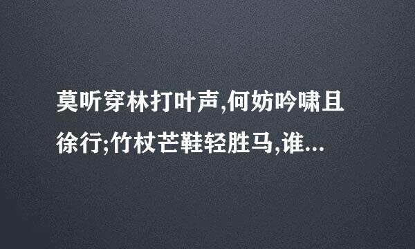 莫听穿林打叶声,何妨吟啸且徐行;竹杖芒鞋轻胜马,谁怕!一蓑烟雨任平生什么意思