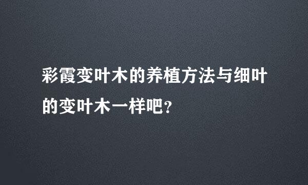 彩霞变叶木的养植方法与细叶的变叶木一样吧？