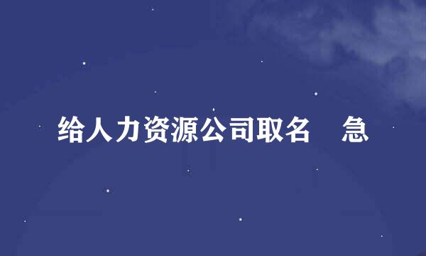 给人力资源公司取名 急