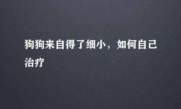 狗狗来自得了细小，如何自己治疗