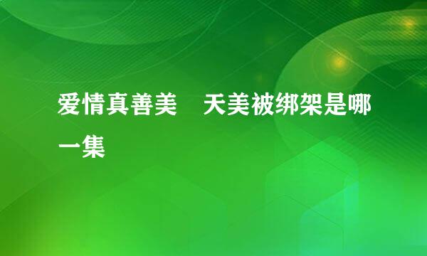 爱情真善美 天美被绑架是哪一集