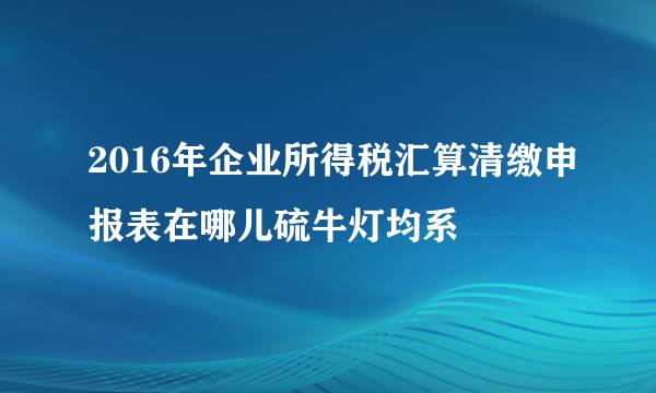 2016年企业所得税汇算清缴申报表在哪儿硫牛灯均系