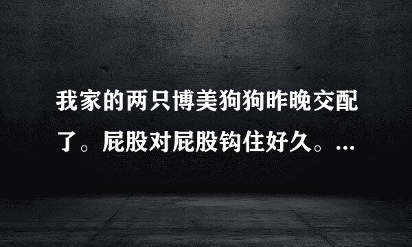 我家的两只博美狗狗昨晚交配了。屁股对屁股钩住好久。大概有个半个小时。我爸见好久都没分开，然后强行把