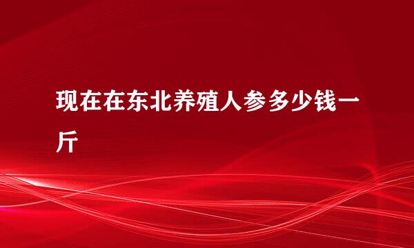 现在在东北养殖人参多少钱一斤