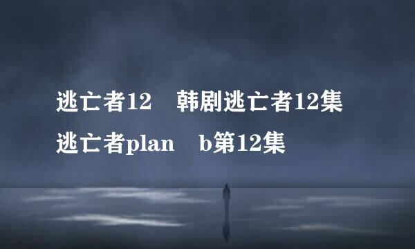 逃亡者12 韩剧逃亡者12集 逃亡者plan b第12集