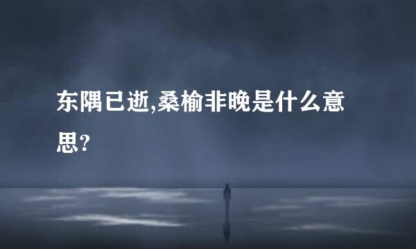 东隅已逝,桑榆非晚是什么意思?