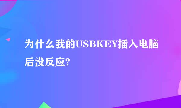 为什么我的USBKEY插入电脑后没反应?