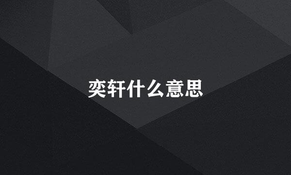 奕轩什么意思