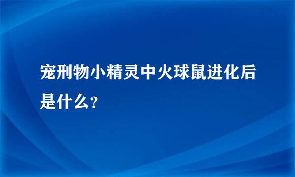 宠刑物小精灵中火球鼠进化后是什么？