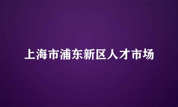 上海市浦东新区人才市场