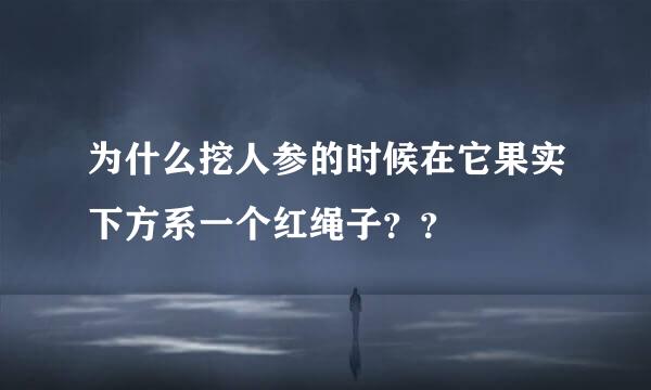 为什么挖人参的时候在它果实下方系一个红绳子？？