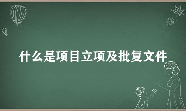 什么是项目立项及批复文件