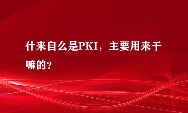 什来自么是PKI，主要用来干嘛的？