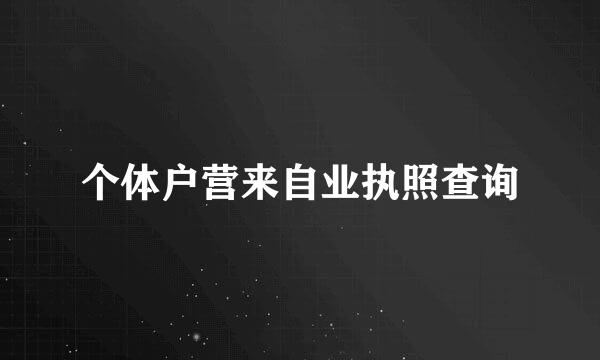 个体户营来自业执照查询