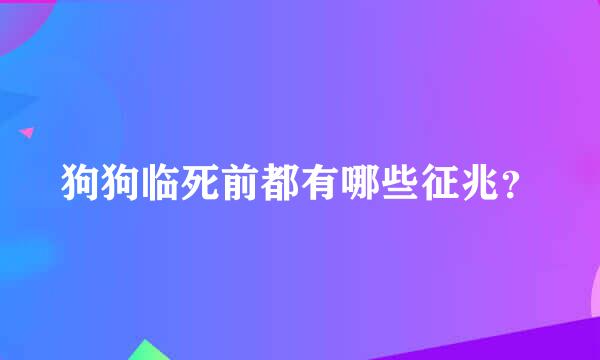 狗狗临死前都有哪些征兆？