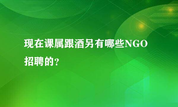 现在课属跟酒另有哪些NGO招聘的？