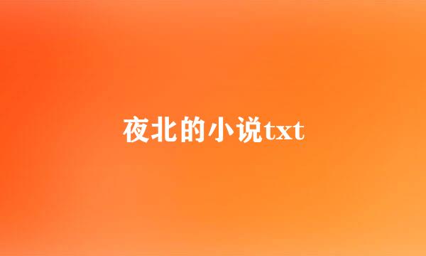 夜北的小说txt