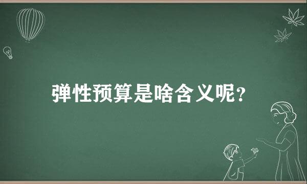 弹性预算是啥含义呢？