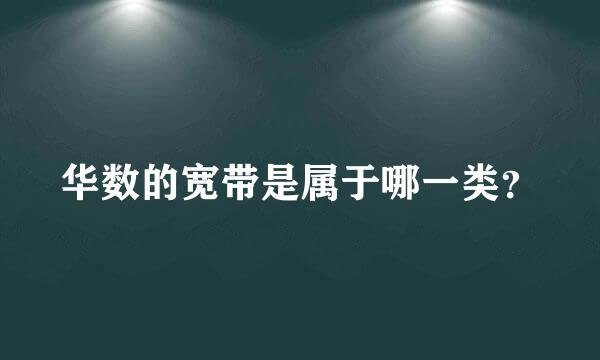 华数的宽带是属于哪一类？