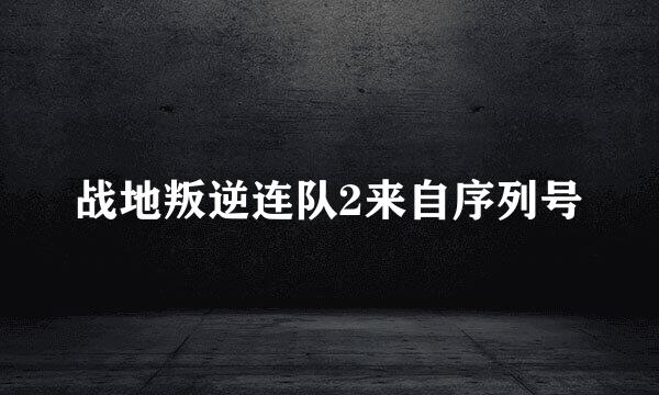 战地叛逆连队2来自序列号