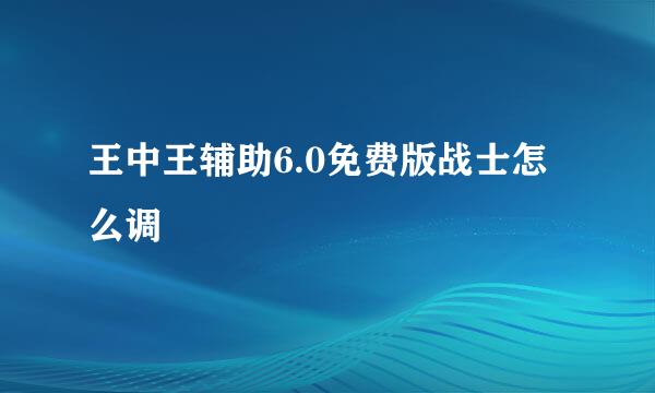 王中王辅助6.0免费版战士怎么调