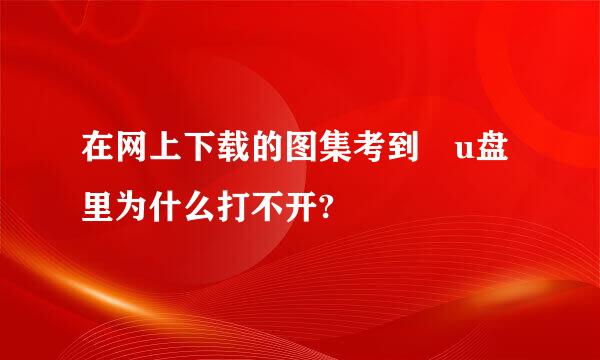 在网上下载的图集考到 u盘里为什么打不开?