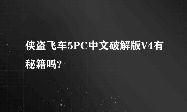 侠盗飞车5PC中文破解版V4有秘籍吗?