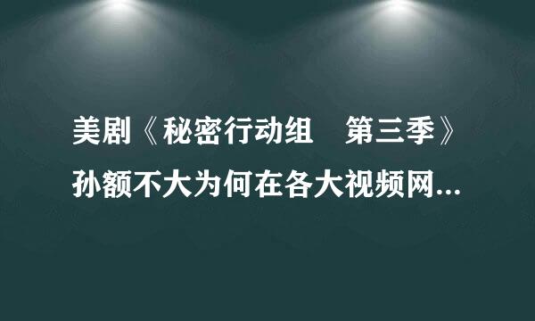 美剧《秘密行动组 第三季》孙额不大为何在各大视频网站无法看到