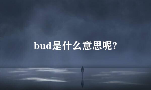 bud是什么意思呢?