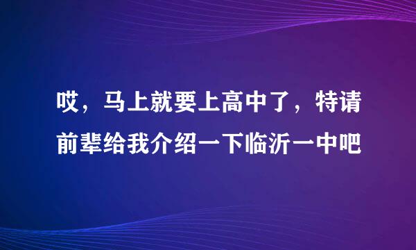 哎，马上就要上高中了，特请前辈给我介绍一下临沂一中吧