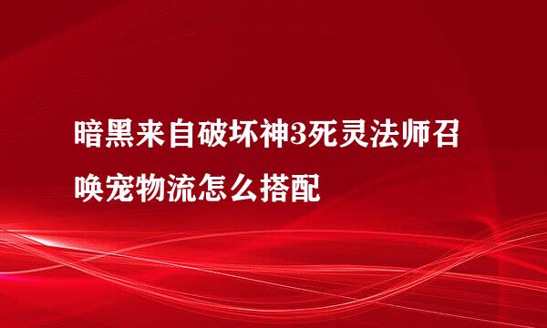 暗黑来自破坏神3死灵法师召唤宠物流怎么搭配