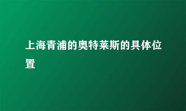 上海青浦的奥特莱斯的具体位置