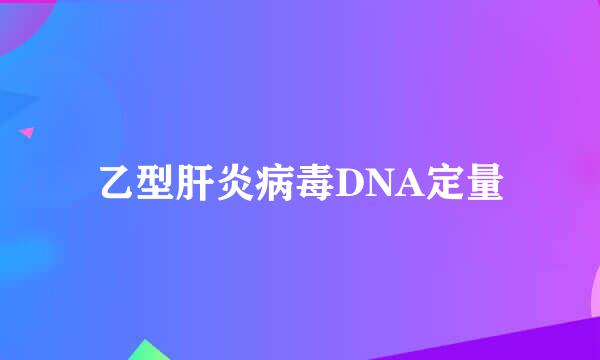 乙型肝炎病毒DNA定量